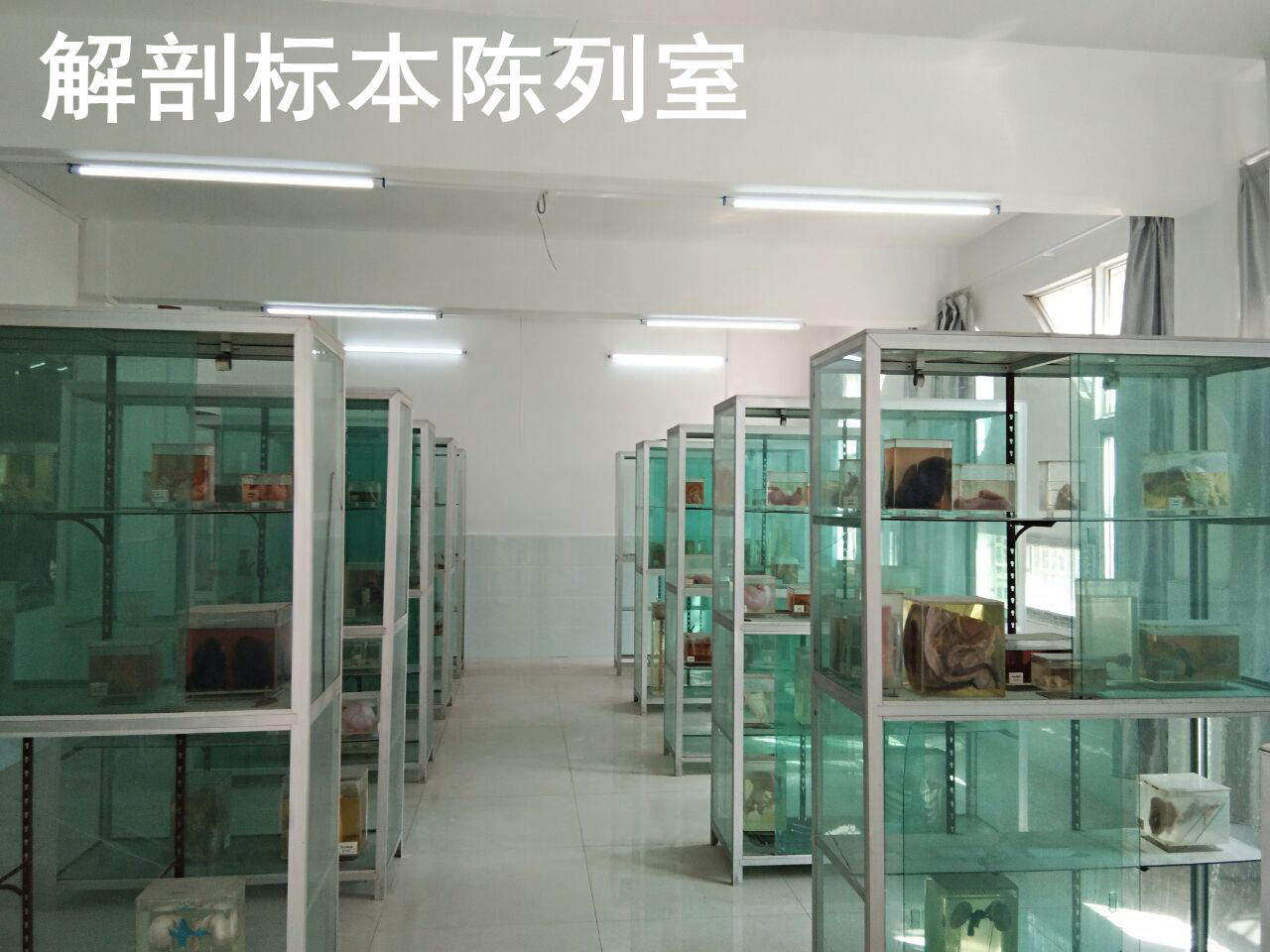 bc66ee15ed30e63c0fb05b1061362529.jpg
